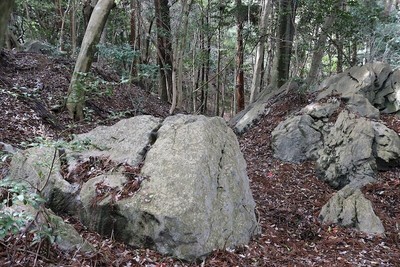 石切場に残る残念石