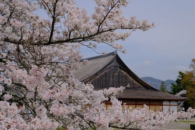 大書院