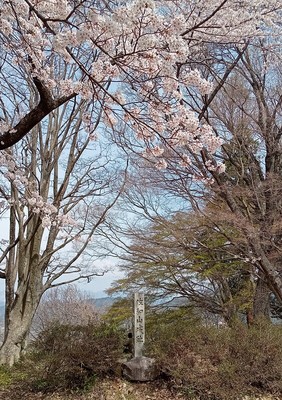 佐和山城　本丸跡