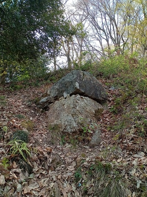 佐和山城　本丸隅石垣