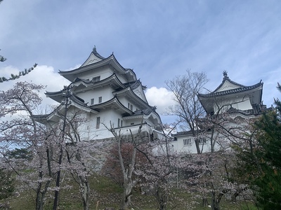 天守(高石垣側より)