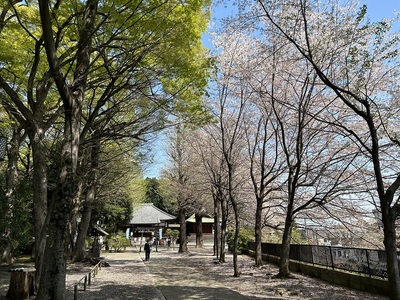 平塚神社参道