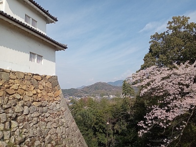 彦根城　天秤櫓・廊下橋から見る佐和山城址