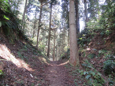 大堀切（二の丸・安室屋敷間）