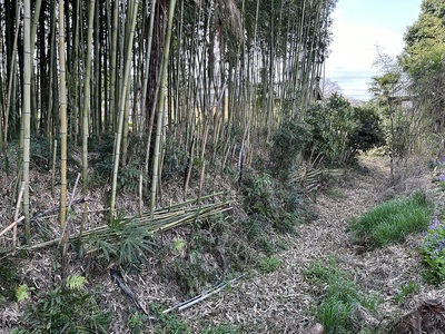 土塁と空堀