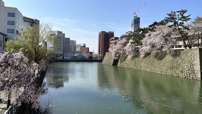 堀と石垣（東面）