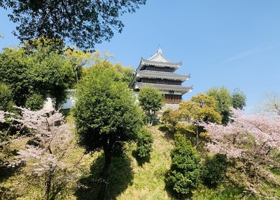 資料館から望む西尾城本丸丑寅櫓