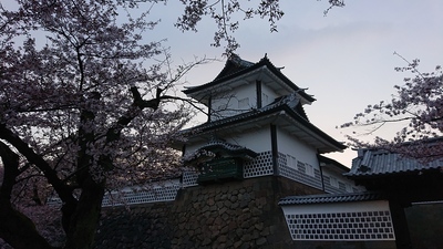 金沢城と桜