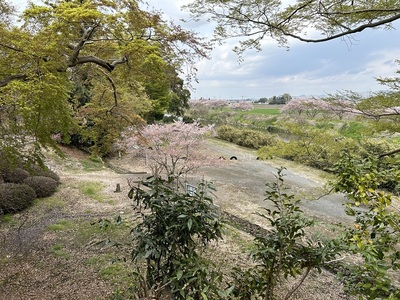 観音寺東側の低地と五行川