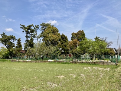 加賀野城（加賀野八幡神社 全景）