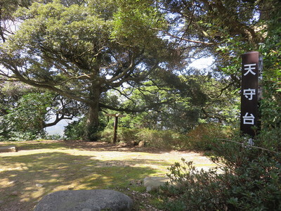 鹿野城跡の天守台