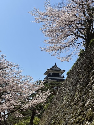 三の丸石垣越しの天守