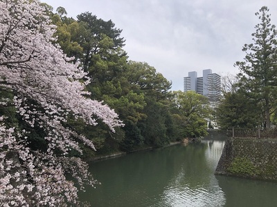 堀の折れ部