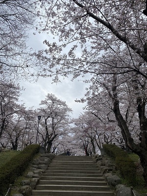 城跡公園