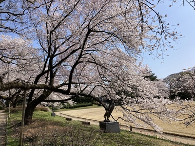 本丸跡（土塁上から）