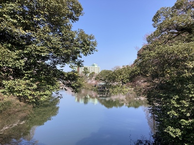 中の島（朝陽橋から）