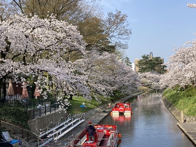 旧神通川（松川）（塩倉橋から）