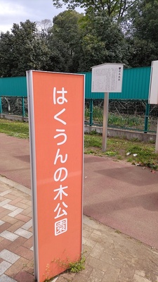 はくうんの木公園