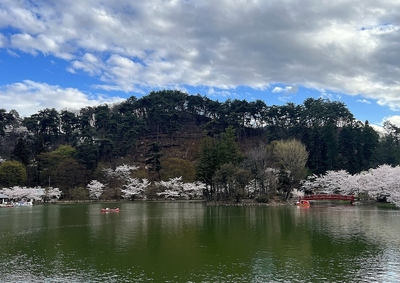 城址遠景（臥竜公園より）