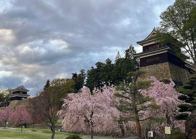 尼ヶ淵の情景