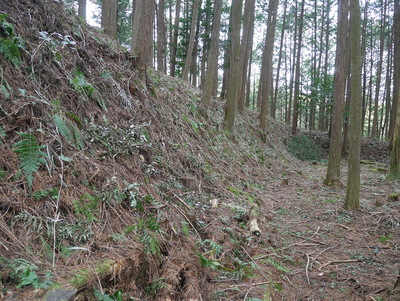 主郭東側（内）の土塁