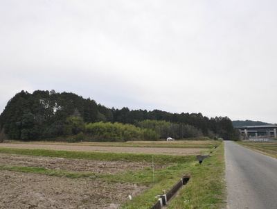 村雨城と寺前城遠景