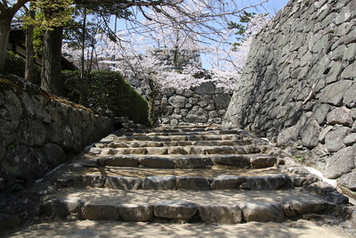 桜咲く城内