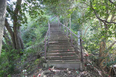 山頂付近の階段