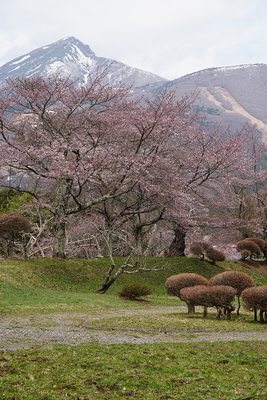 本丸土塁と磐梯山