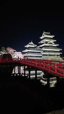 水鏡の松本城と、赤い橋に桜がとても綺麗