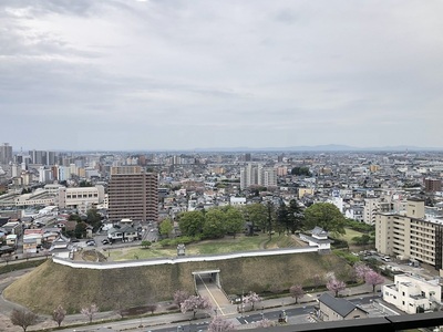 城址の全景