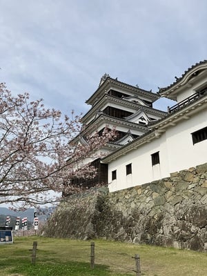 天守と桜