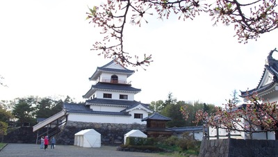 天守と葉桜