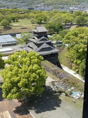 天守閣からみた宇土櫓