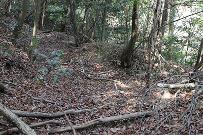 畝状竪堀・前城の北側