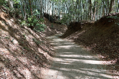 登城道