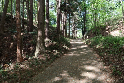 天野坂から桝形虎口へ