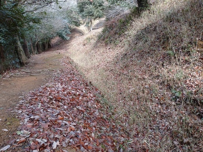 長い横堀