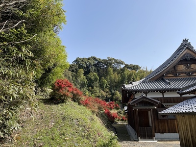 西岸寺の裏山の山本城跡