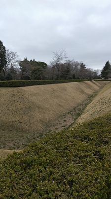 佐倉城馬出し空堀