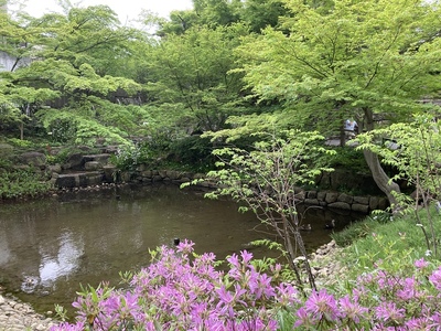 濠跡（向山庭園のひょうたん型池）