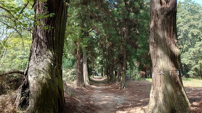 鷲神社参道