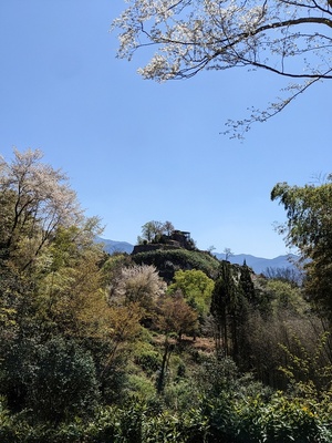 全景、足軽長屋より