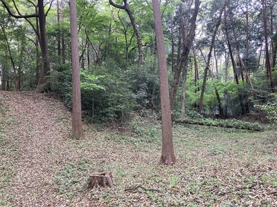 土塁と空壕（左奥;中心内郭跡）