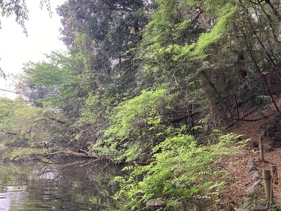 三宝寺池と主郭土塁