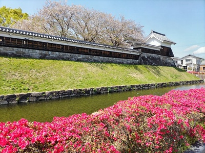 勝龍寺城お堀端