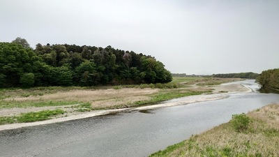 小山大橋からの思川と鷲城城址