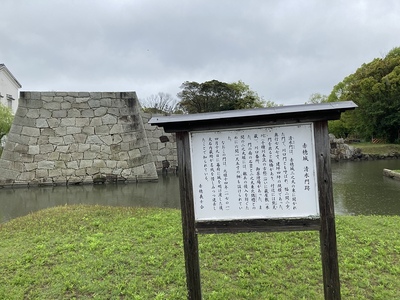 雨の城址