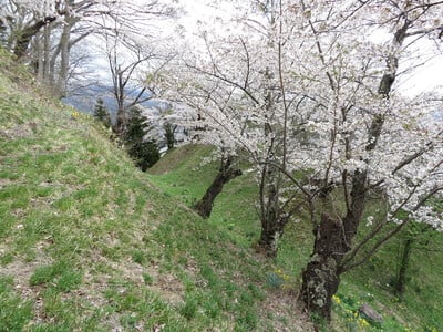 西帯曲輪の土塁、堀