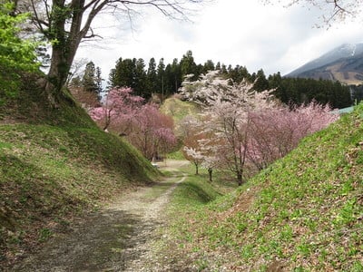 西帯曲輪および北郭虎口